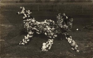 MaCabre Cemetery Floral Arrangement Unusual c1910 Real Photo Postcard