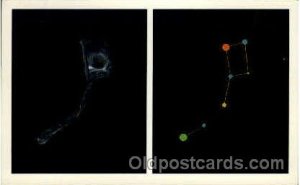 The Little Dipper Astrology Unused 