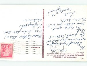 Chrome ZOO SCENE Brookfield Illinois IL AG1730