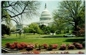 M-1868 U S Capitol and Spring Blossoms Washington D C