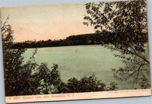 Postcard NY Monticello - Sackett Lake - 1908 Artino