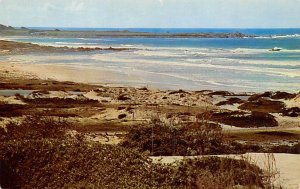 Asilomar Dunes and Beach Pacific Grove CA