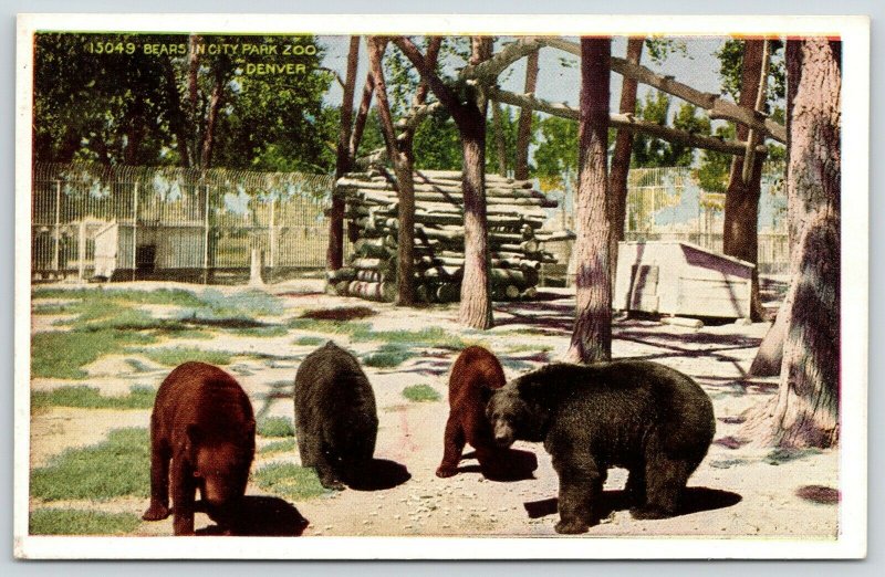 Denver Colorado~Bears in City Park Zoo~Stack of Lumber~Map on Wall~1920s PC