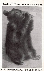 Postcard Advertising Tarwid's Russian Bear Restaurant Vintage JD16