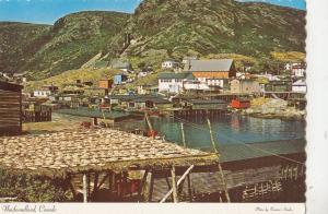 BF26792 petty harbour newfoundland  canada  front/back image