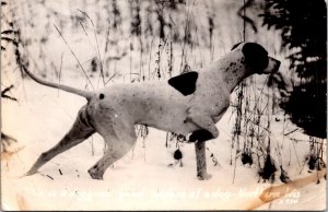 Hunting Dog, Norther WI RPPC Vintage Postcard U64