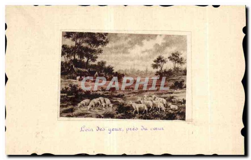 Old Postcard Away from the eyes near the heart Sheep Lambs