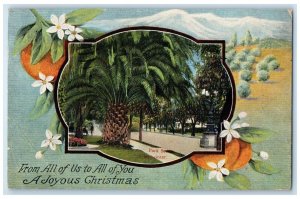 1920 Christmas Park Section Midwinter Flowers Los Angeles California CA Postcard