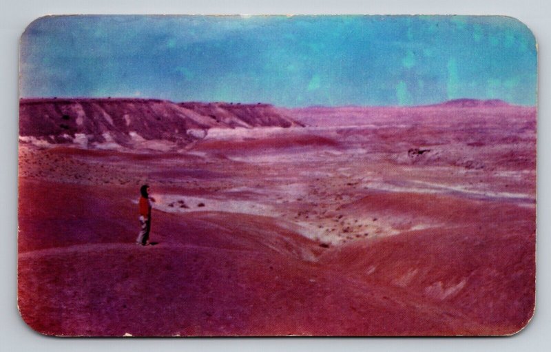 Painted Desert North From Highway 66 Vintage Postcard Posted 1950 Arizona