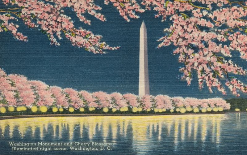 Beautiful Cherry Blossoms Potomac Park Washington Monument Washington DC - Linen