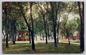 Mason City IA Summer Shade Trees~ Fountain & Pavilion In City Park~Postcard 1909