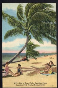 Florida MIAMI Life of Ease Under Swaying Palms Crandon Park Beach - LINEN