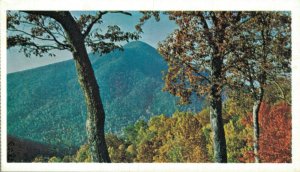 USA Blue Ridge Parkway Virginia and North Carolina Vintage Postcard 07.46