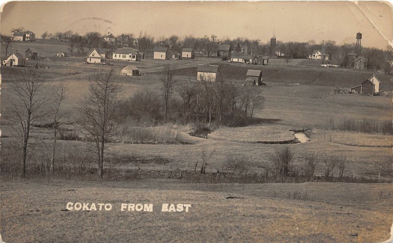 F80/ Cokato Minnesota RPPC Postcard 1914 Homes Farms Birdseye