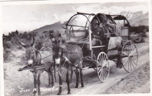 Donkeys Pulling Covered Wagon Real Photo