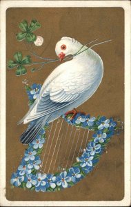 Vintage Postcard Dove Pigeon on Harp EMBOSSED PC