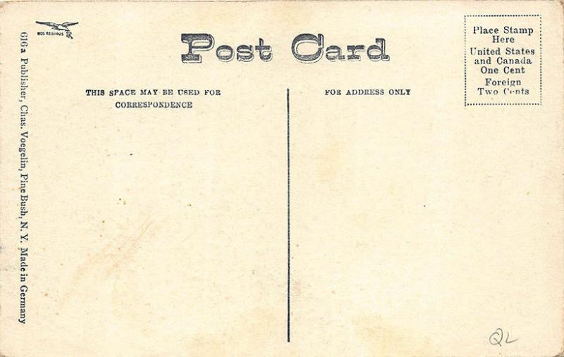 Pine Bush NY Public School Children Postcard