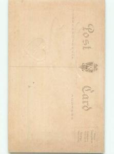 Divided-Back VALENTINE DAY SCENE Great Postcard W7753