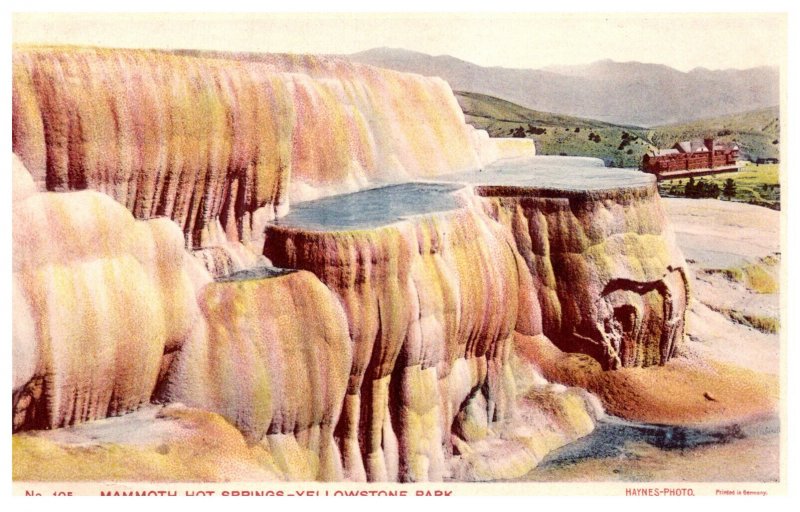Wyoming  Yellowstone National Park  Mammoth Hot Springs