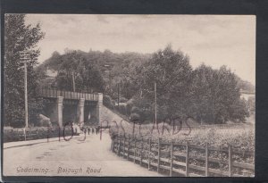 Surrey Postcard - Godalming - Borough Road  HP380
