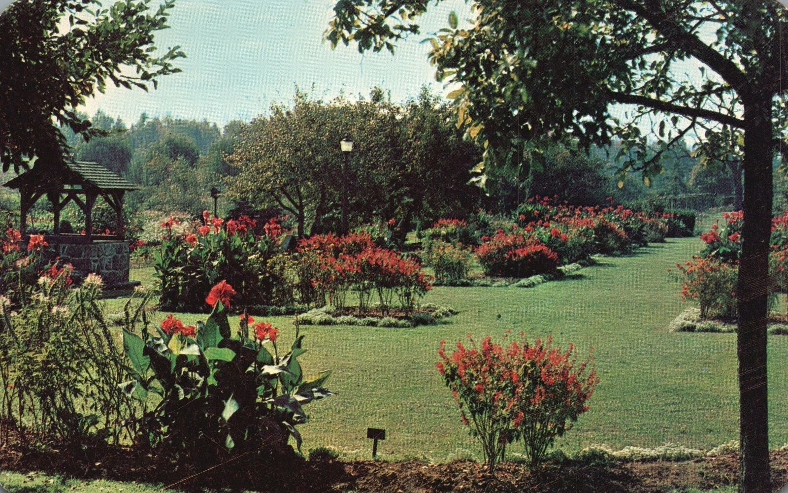 Postcard Old Fashioned Famous Flower Garden Cedar Parkway Allentown Pennsylvania United States