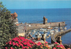 uk48765 the harbour lynmouth devon  uk