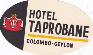 Ceylon Colombo Hotel Taprobane Vintage Luggage Label sk1960.1