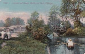 Illinois Chicago Lagoon and Sheep In Washington Park