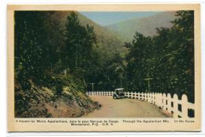 Appalachian Mountains Highway Gaspe Quebec Canada 1940s postcard