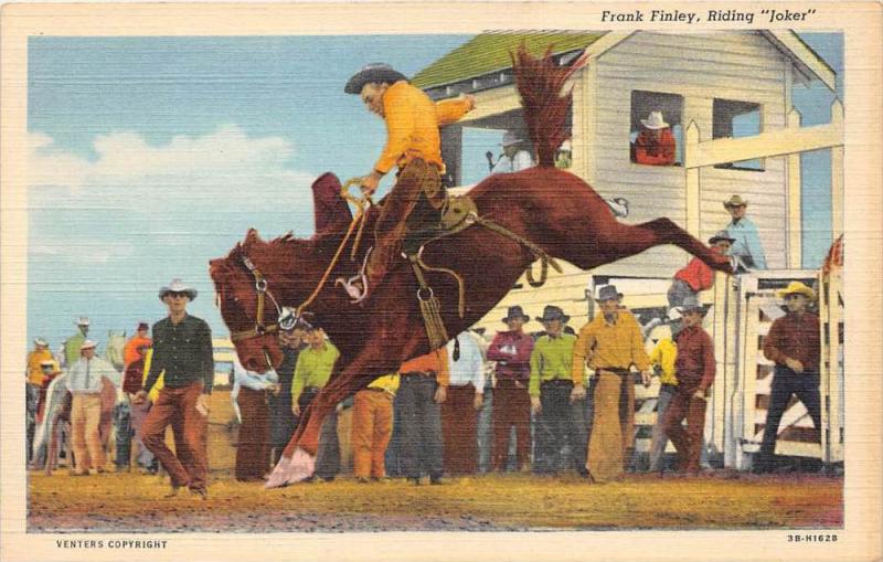 Frank Finley, Riding “Joker” Broncho Horse