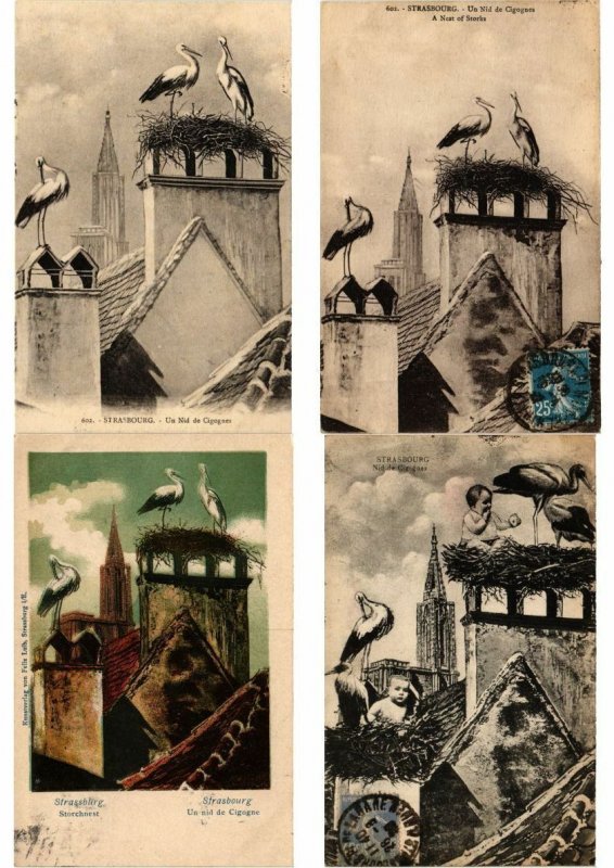 STORKS CIGOGNES Birds 500 Vintage Postcards Mostly pre-1940 (L2840)