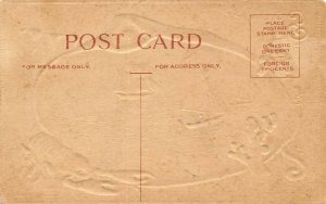 LP32  Old Orchard  Maine  Postcard Shell Border 