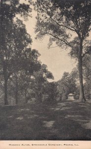 PEORIA IL~MASONIC ALTAR~SPRINGFIELD CEMETERY-PERPETUAL CARE ADVERISING POSTCARD