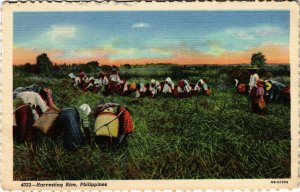 PC CPA PHILIPPINES, HARVESTING RICE, Vintage Postcard (b19038)