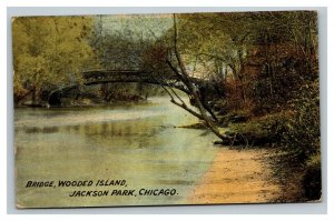 Vintage 1915 Postcard Bridge Wooded Island Jackson Park Chicago Illinois