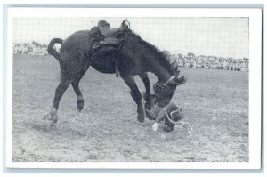 c1940's Championship Rodeo Horse Cowboy Contest Sidney Iowa IA Vintage Postcard