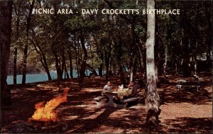 Limestone TN Davy Crockett Birthplace Picnic Area c1950s Postcard