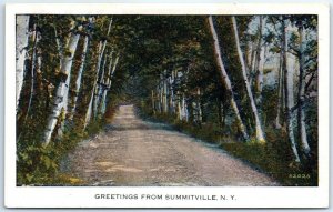 Postcard Landscape Scene Greetings from Summitville New York USA North America