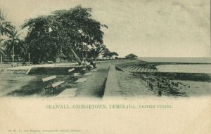 british guiana, Guyana, Demerara, GEORGETOWN, Seawall (1900s) Postcard