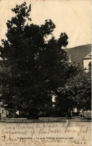 CPA SAMOENS - Le gros Tilleni plante en 1438 (248468)