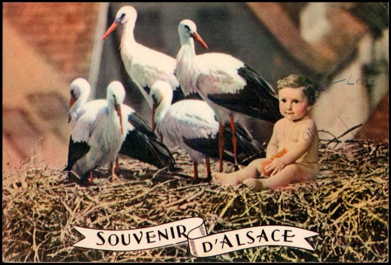 France Post card - Souvenir D'Alsace, used