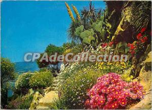 Modern Postcard The French nature garden miracle Azur flowered the French Riv...