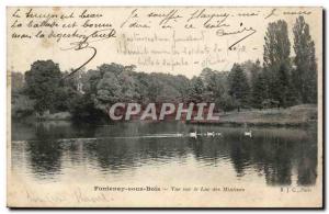 Fontenay sous Bois Old Postcard Lake View Minimes