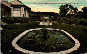 Vtg Rochester New York NY Lily Pond George Eastmans Grounds 1910s Postcard