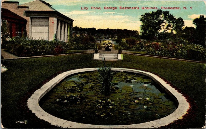 Vtg Rochester New York NY Lily Pond George Eastmans Grounds 1910s Postcard