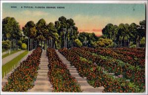 Orange Grove, Florida
