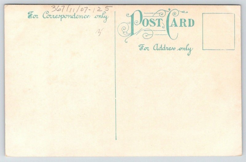 Swampscott Massachusetts~Homes on Galloupes Point~c1910 Postcard