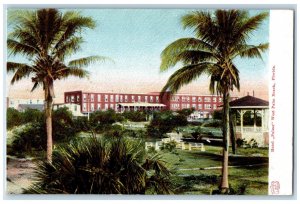 c1905 Hotel Palms West Palm Beach Florida FL Antique Unposted Postcard