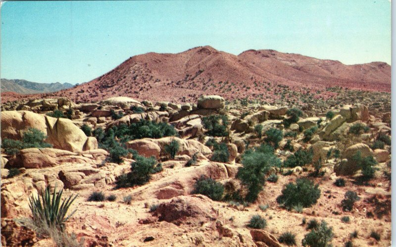 1960s Southwestern Desert USA View Gram Chrome Postcard 61