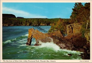 The Sea Lion of Silver Islet Provincial Park Thunder Bay Ontario Postcard PC358
